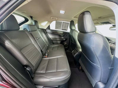 2020 Lexus NX 300h